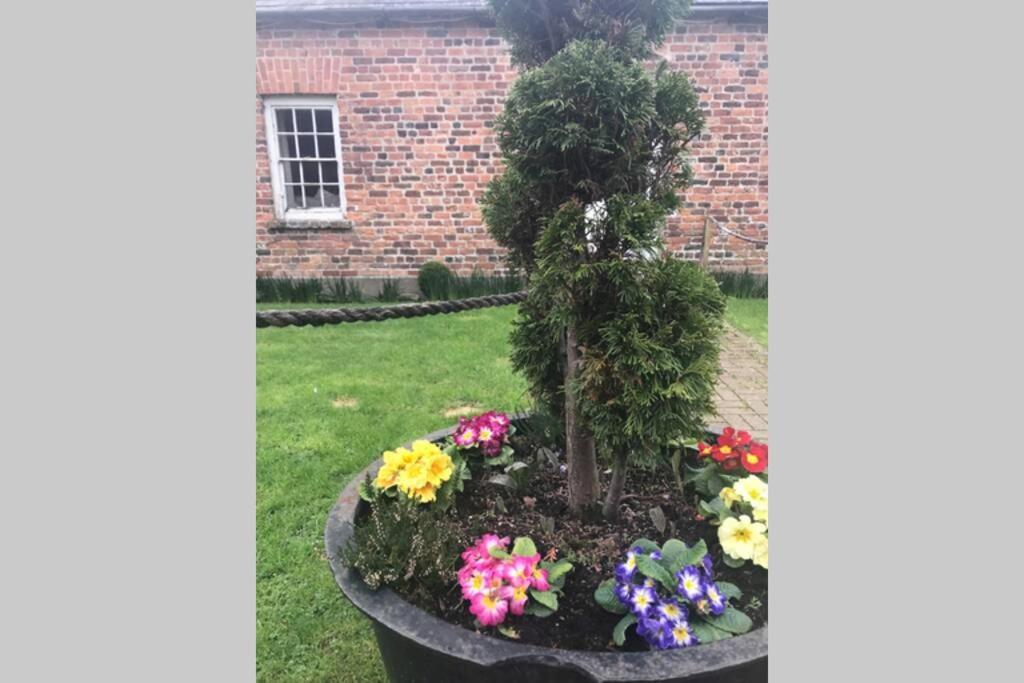 The Tack Room Cottage - Wells House & Gardens Wexford Bagian luar foto
